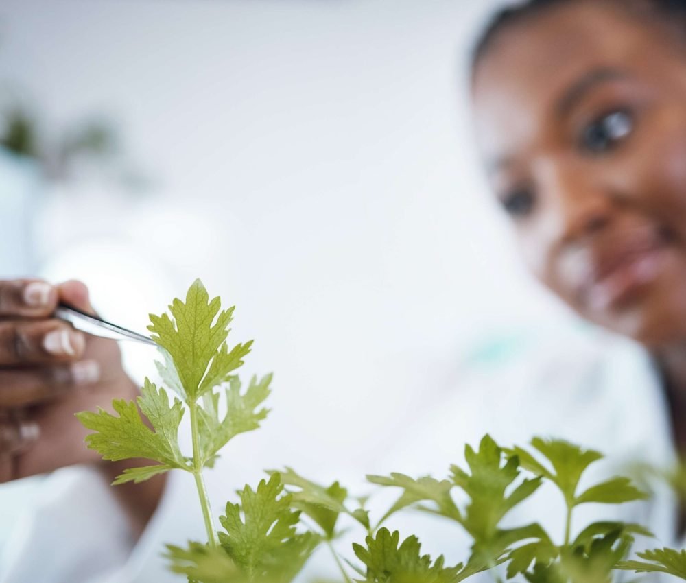 black-woman-plant-science-and-research-in-laborat-2026-03-25-05-47-55-utc(1)