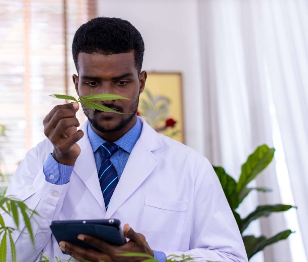 concept-of-herbal-alternative-medicine-or-cannabid-2026-03-24-04-49-25-utc(1)