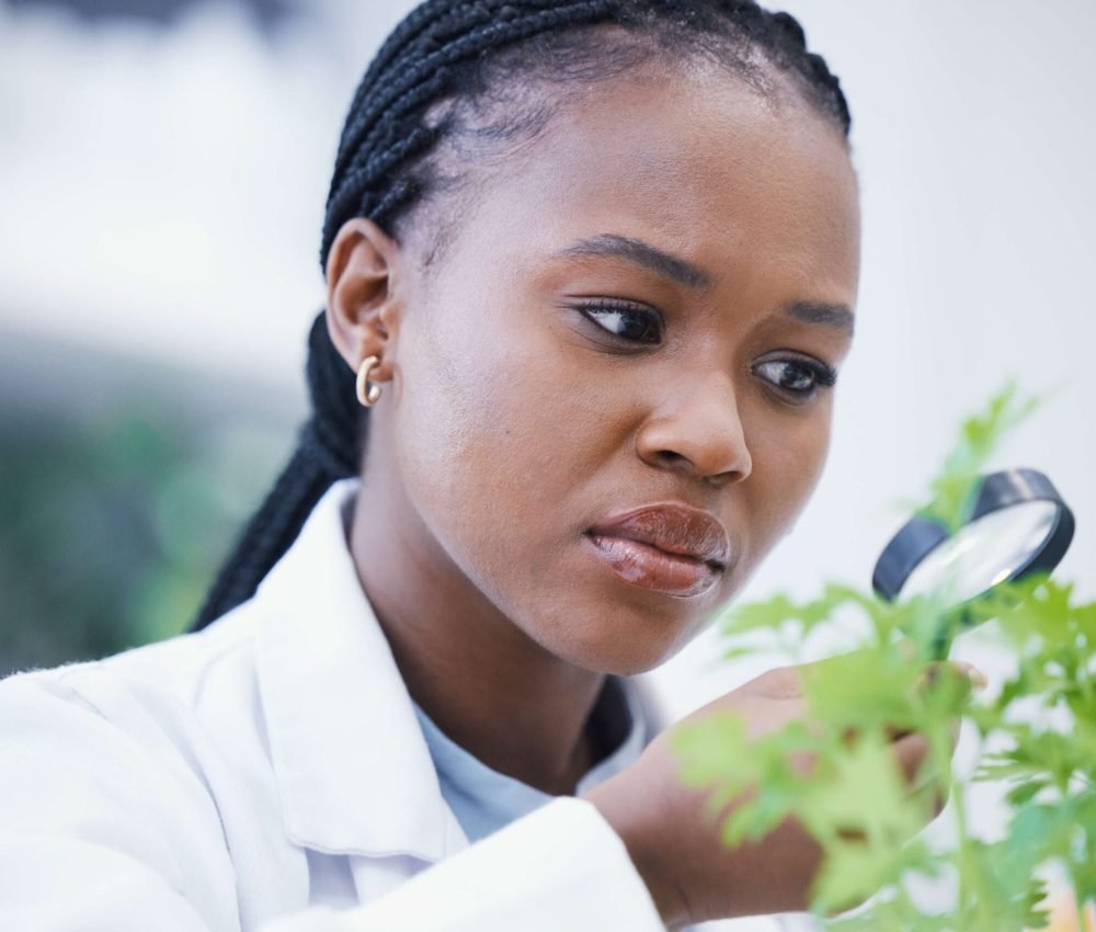 weed-magnifying-glass-and-scientist-woman-for-gro-2026-03-25-03-26-19-utc(1)